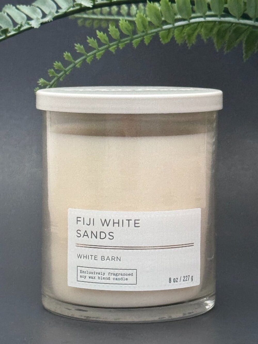BBW Fiji White Sands White Barn Bath & Body Works Single Wick Candle